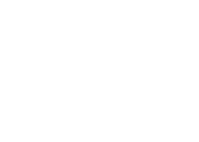 Analog Way