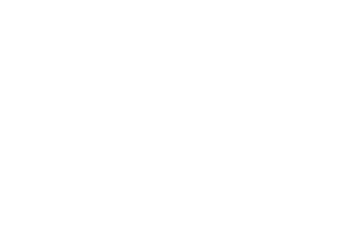 Main Audio